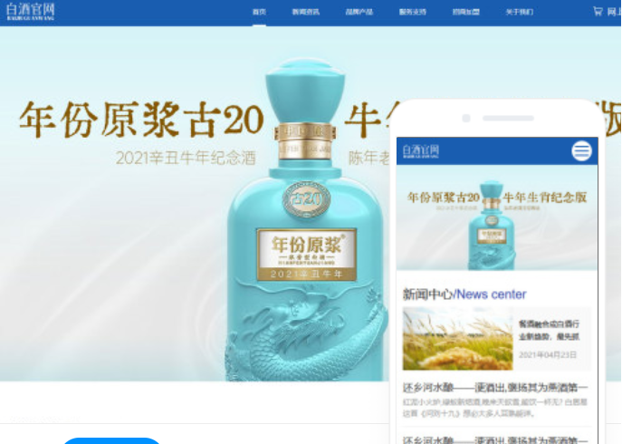 安陽網(wǎng)站建設推廣公司